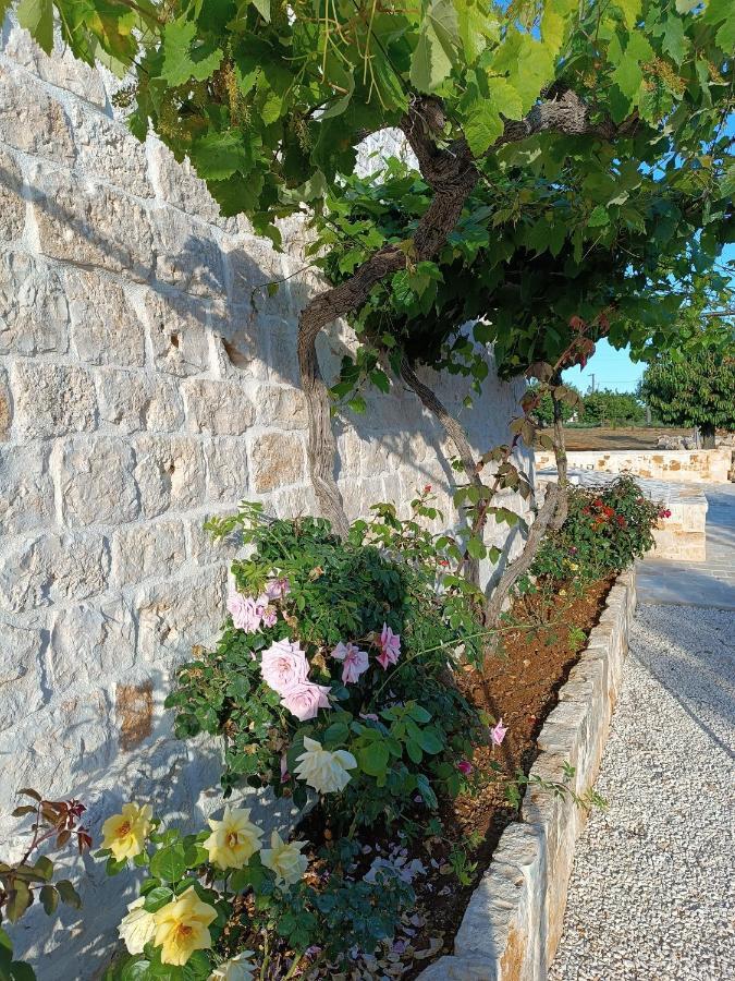 Demetra Trulli Experience Daire Monopoli Dış mekan fotoğraf